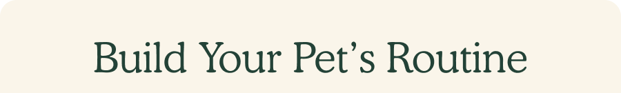 Build Your Pet's Routine