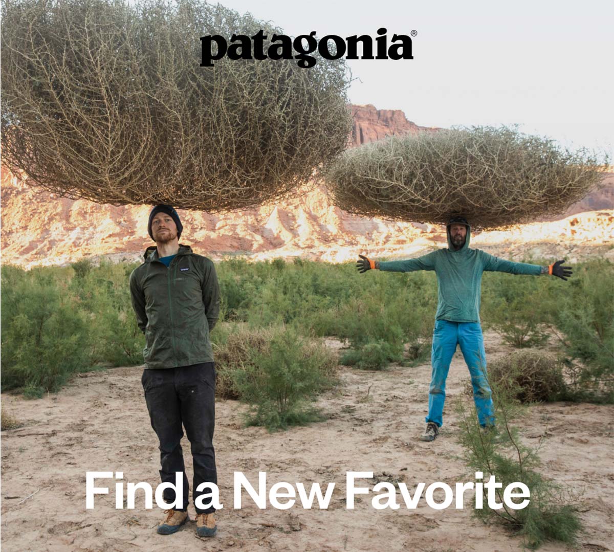 Find a New Favorite