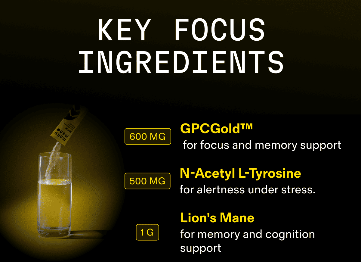 Key Focus Ingredients