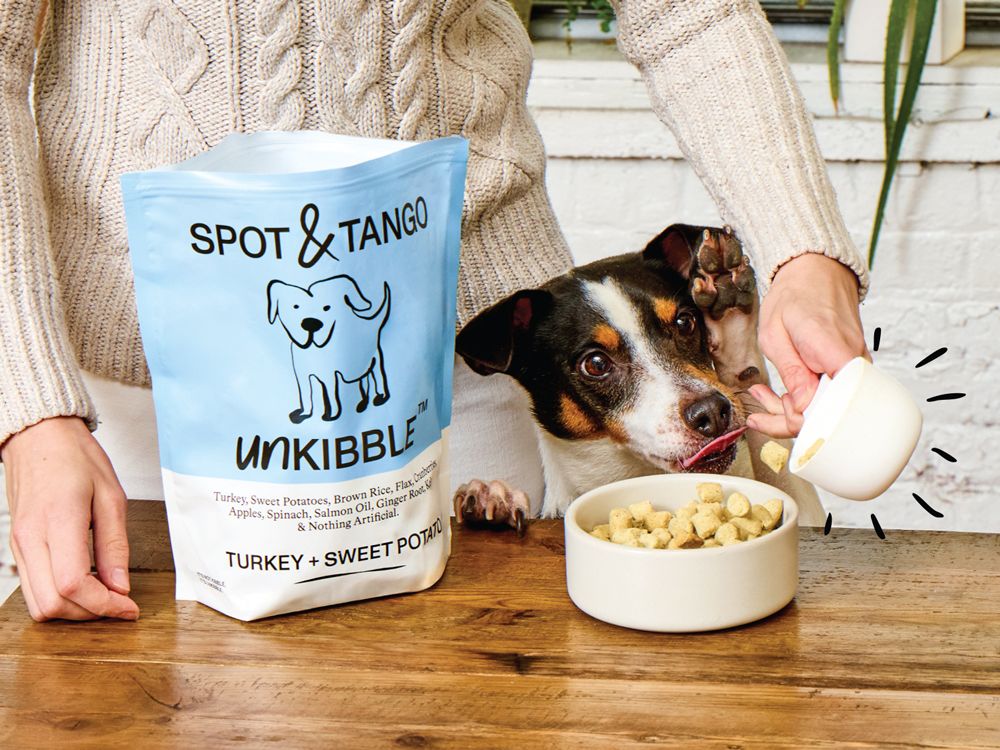 Sponsor: Spot & Tango