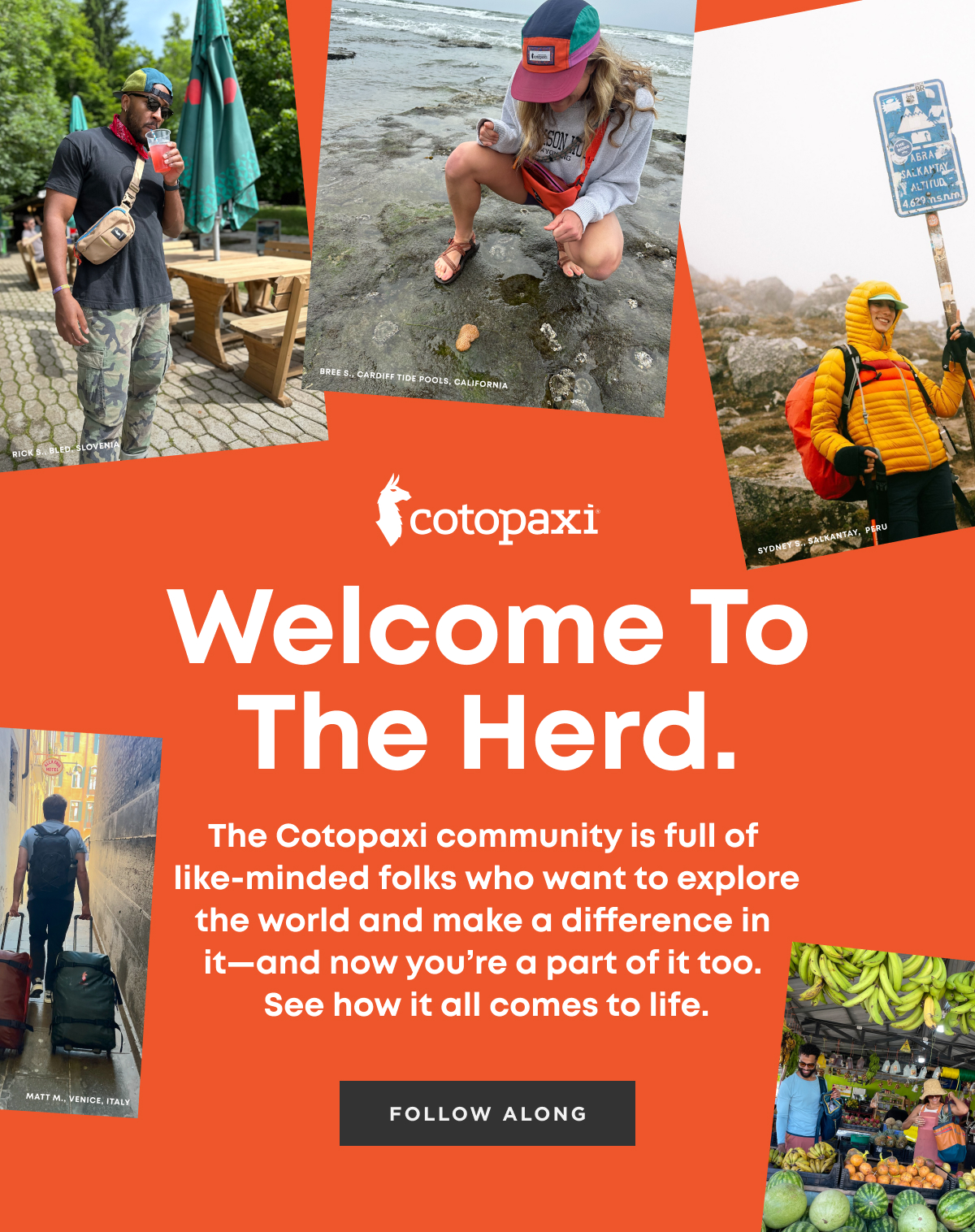 Follow Along