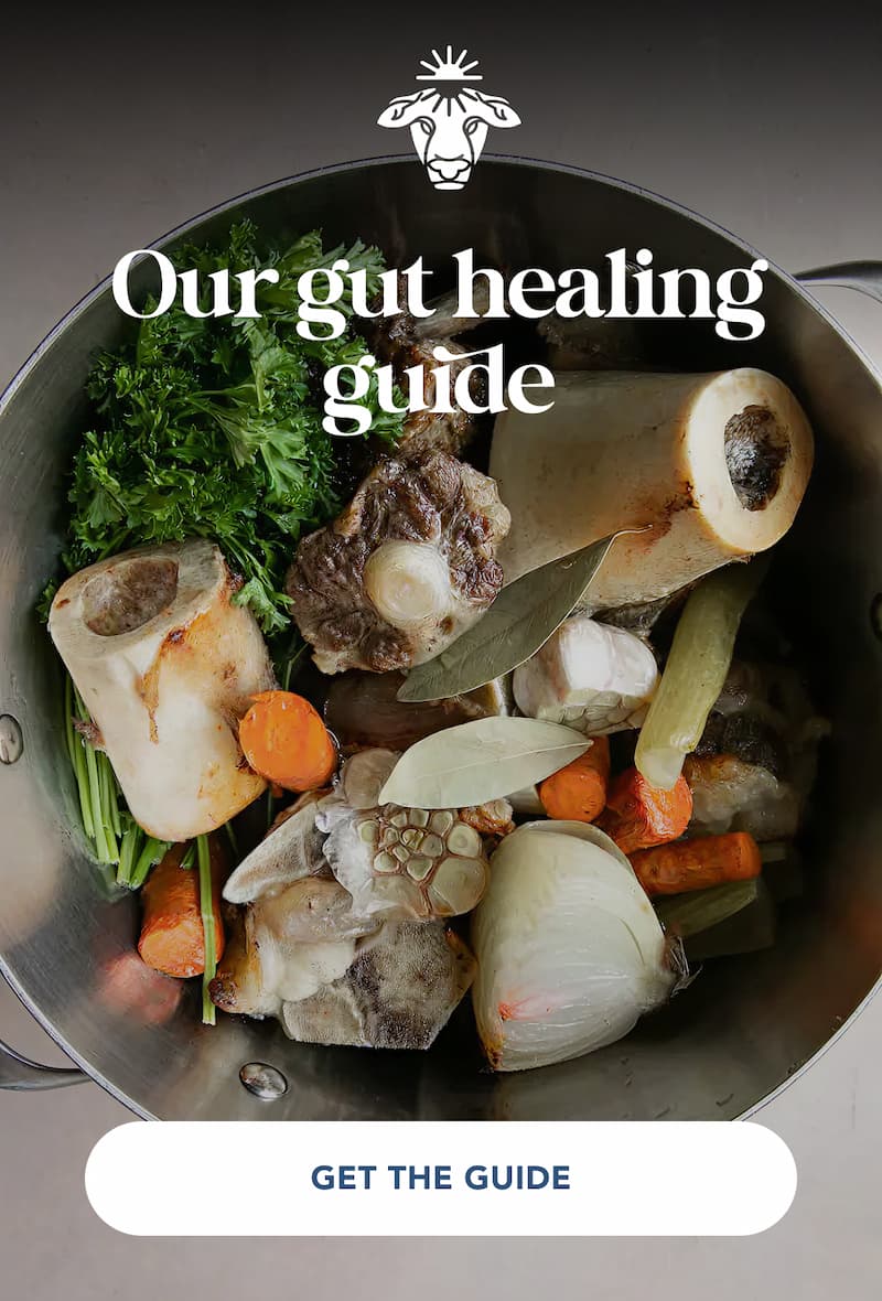 Ancestral living guide.