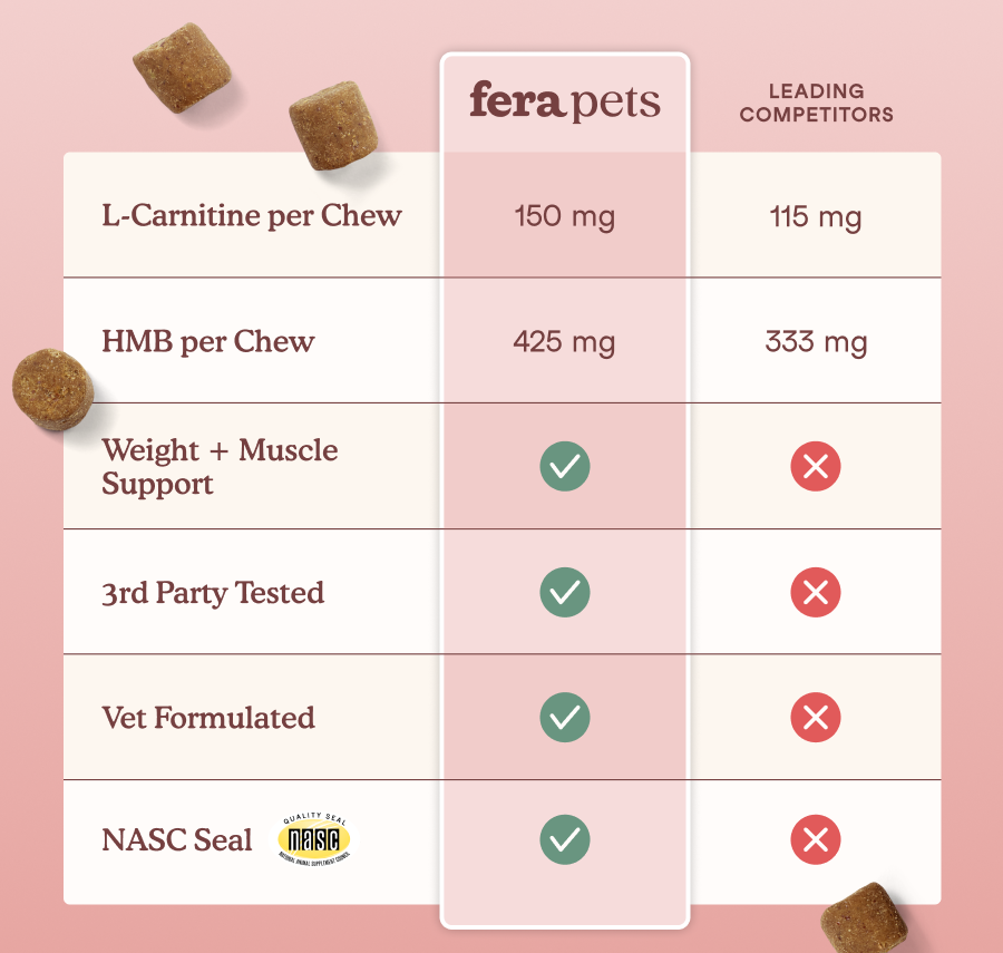 What Sets Fera Apart 