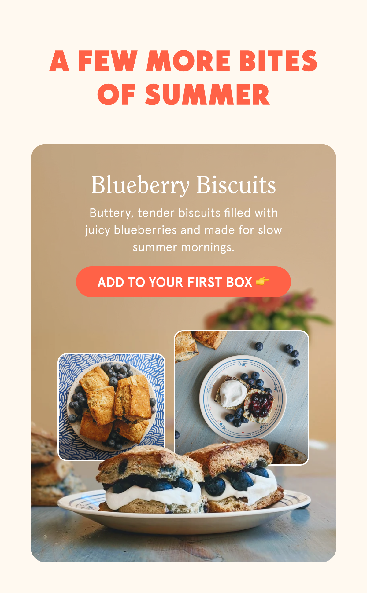 A Few More Bites of Summer Blueberry Biscuits Buttery, tender biscuits filled with juicy blueberries and made for slow summer mornings.