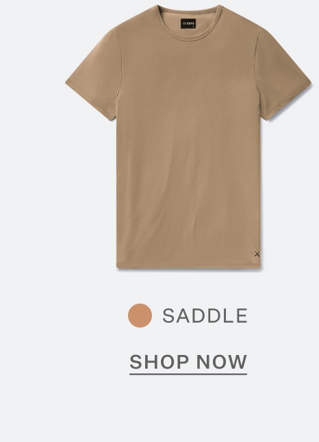 AO Forever Tee in Saddle