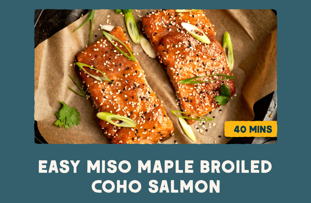 Easy Miso Maple Boiled Coho Salmon