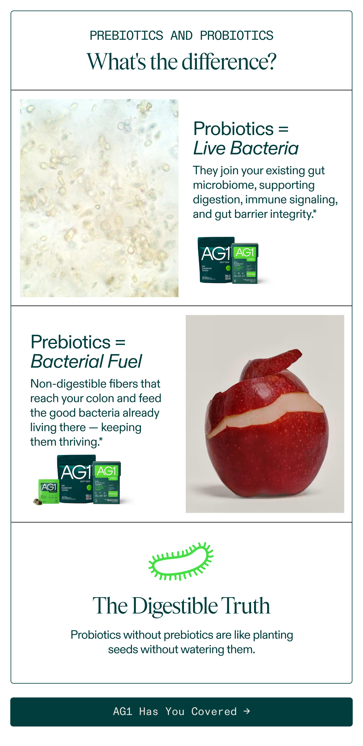 What's the difference between Prebiotics and Probiotics? AG1 Next Gen and AG1 Pro have both