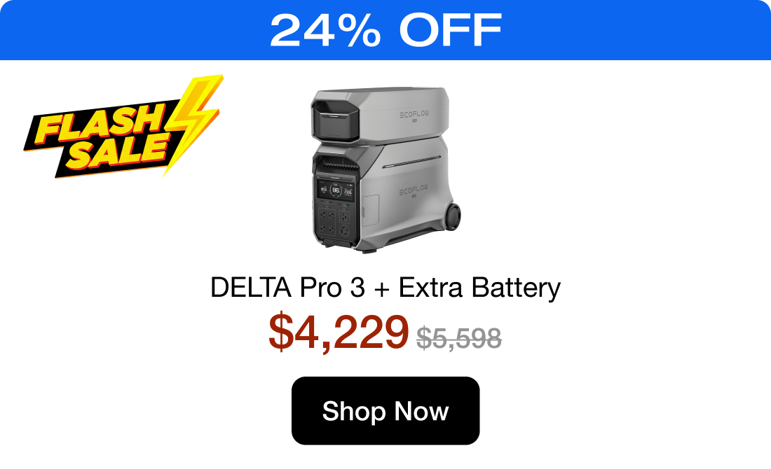 DELTA Pro 3 + Extra Battery