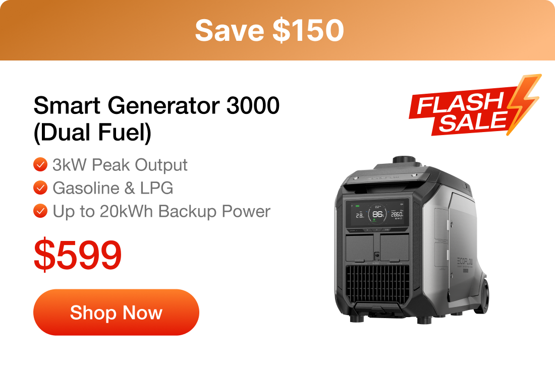 Smart Generator 3000 (Dual Fuel)