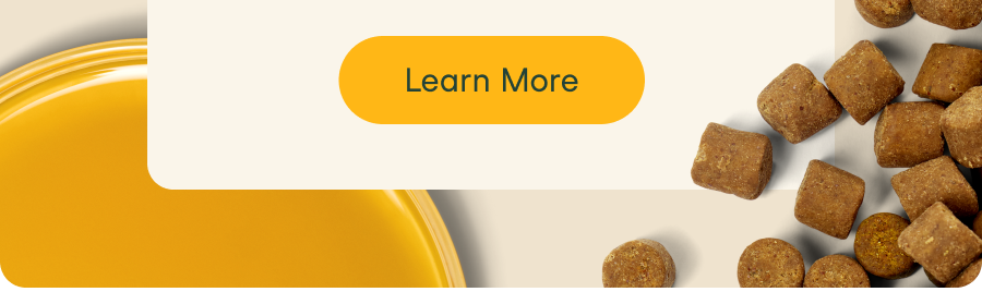 Free returns and refunds within 30 days.