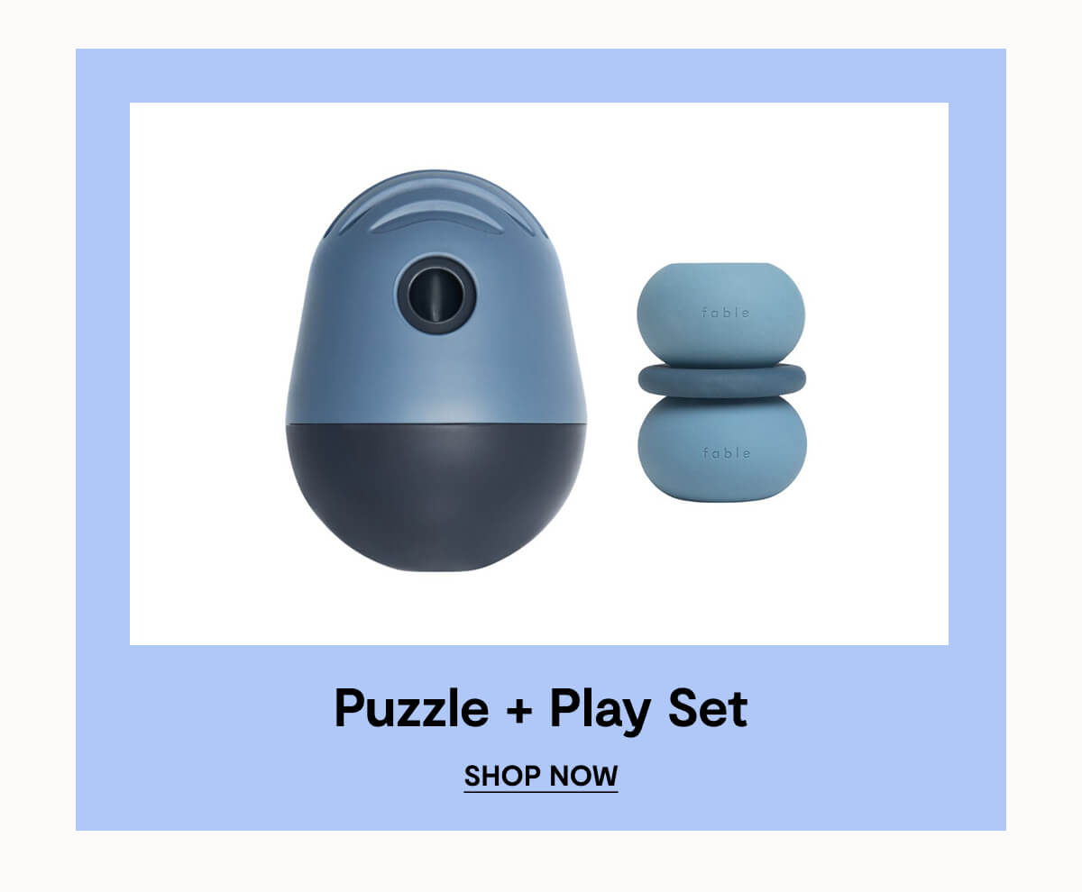 Puzzle + Play Set. Shop Now