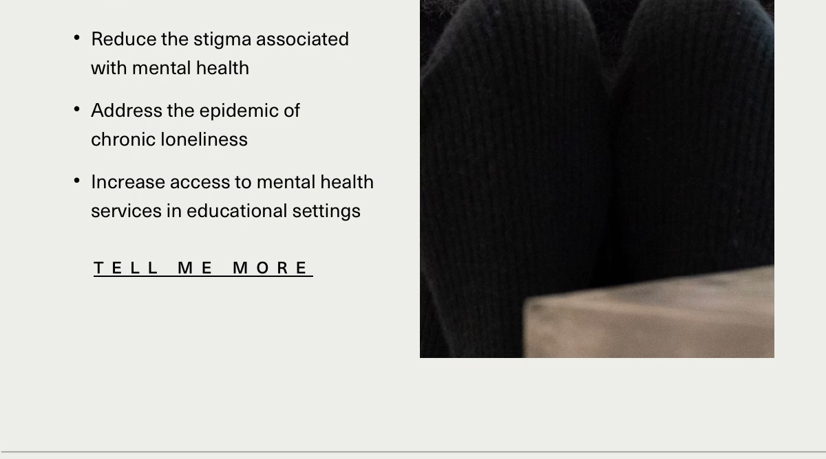 - reduce and stigma associated with mental health - address the epidemic of chronic loneliness - increase access to mental health service - tell me more