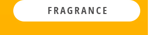 Shop Fragrance