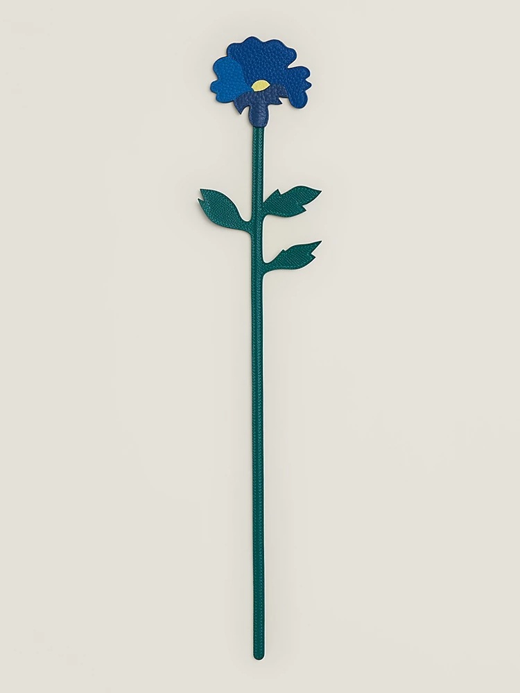 Image of Leather cornflower flower
