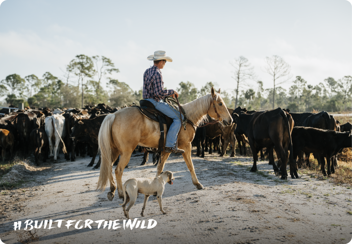 Built For The Wild