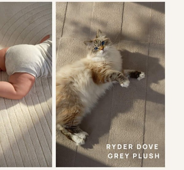 Ryder Dove Grey Plush Rug | Shop Now