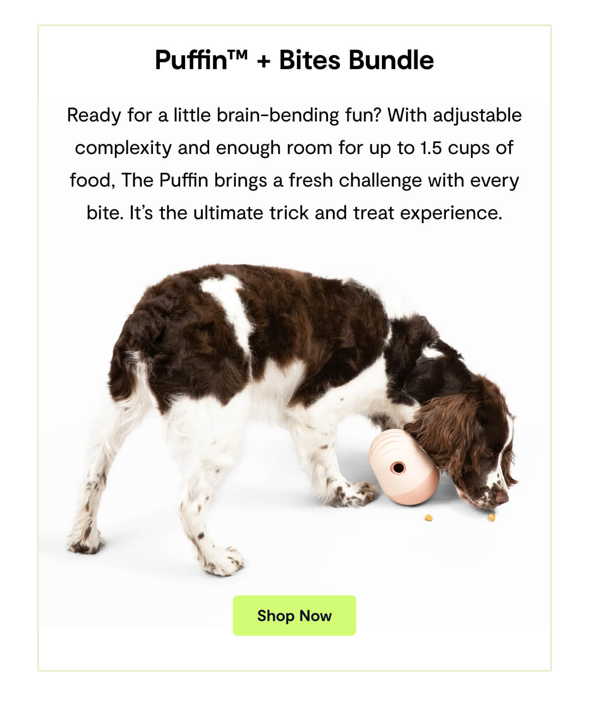 Puffin&trade; + Bites Bundle. Ready for a little brain-bending fun? With adjustable complexity and enough room for up to 1.5 cups of food, The Puffin brings a fresh challenge with every bite. It&rsquo;s the ultimate trick and treat experience. Shop Now