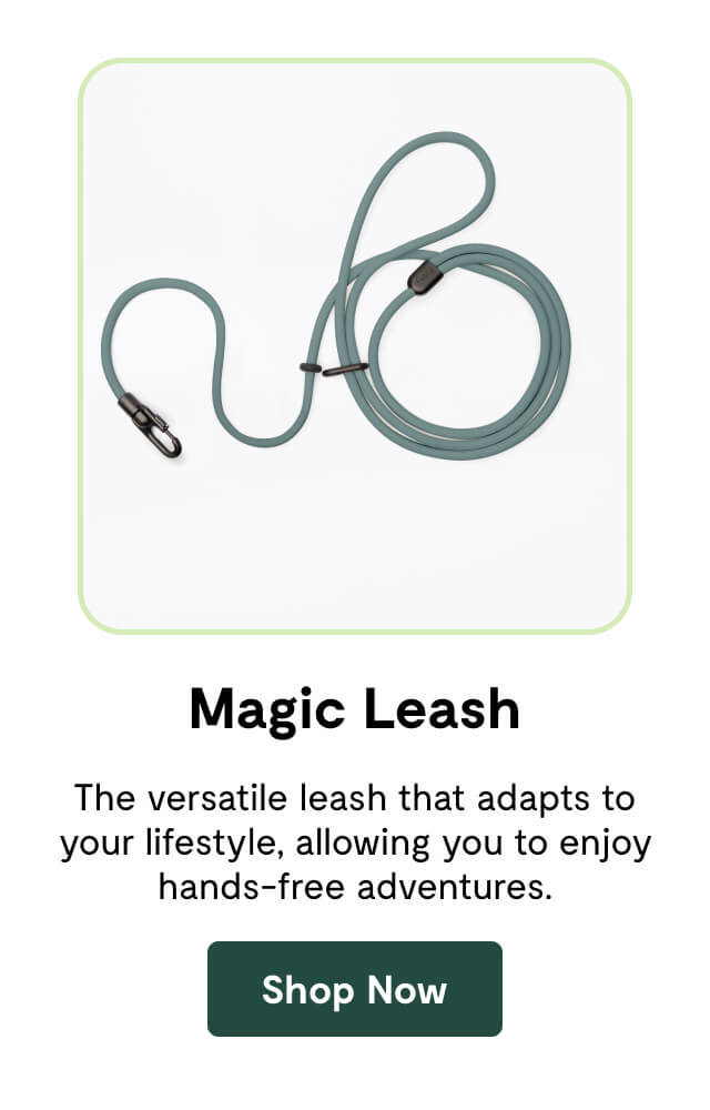 Magic Leash