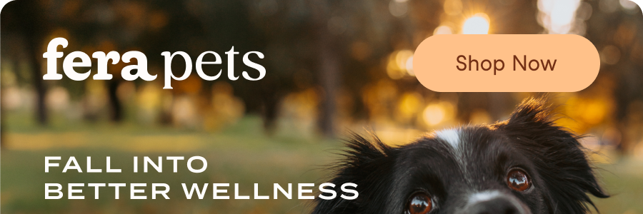 Fall Into Better Wellness