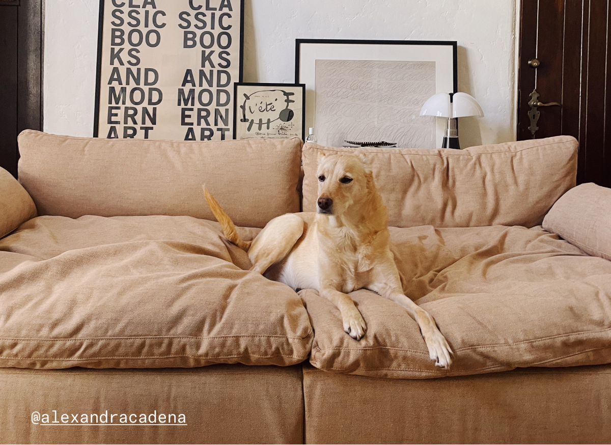 The Sink Down Sectional, styled by Alexandra Cadena (@alexandracadena)