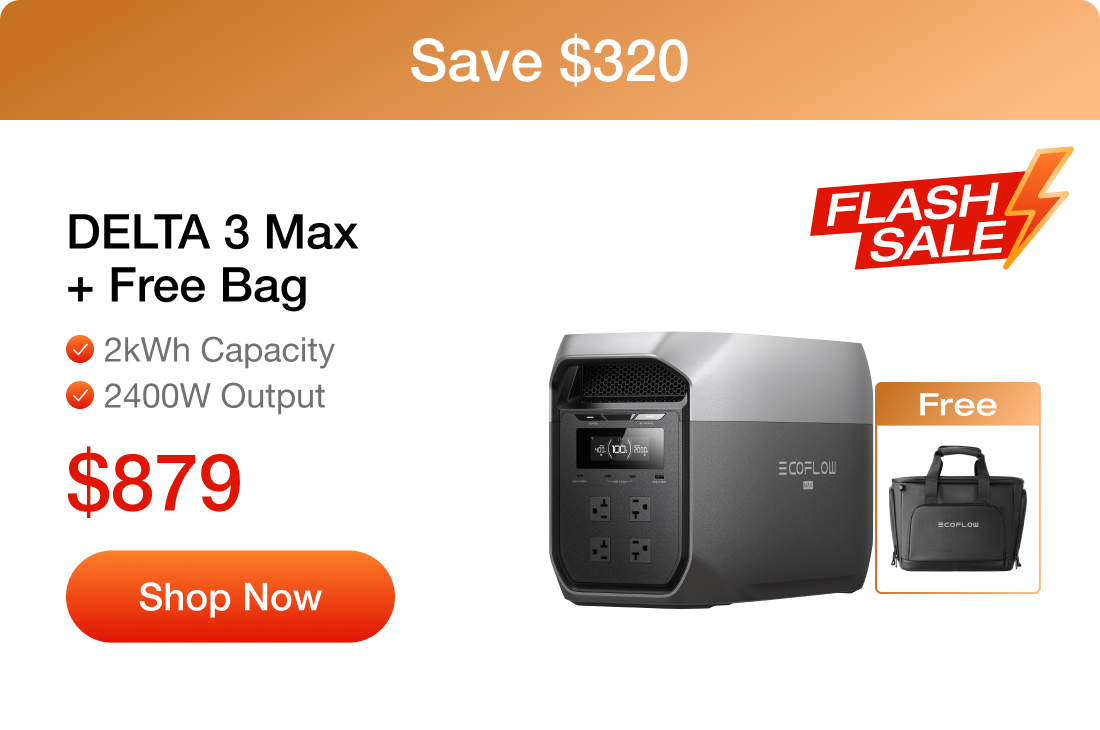 DELTA 3 Max + Free Bag