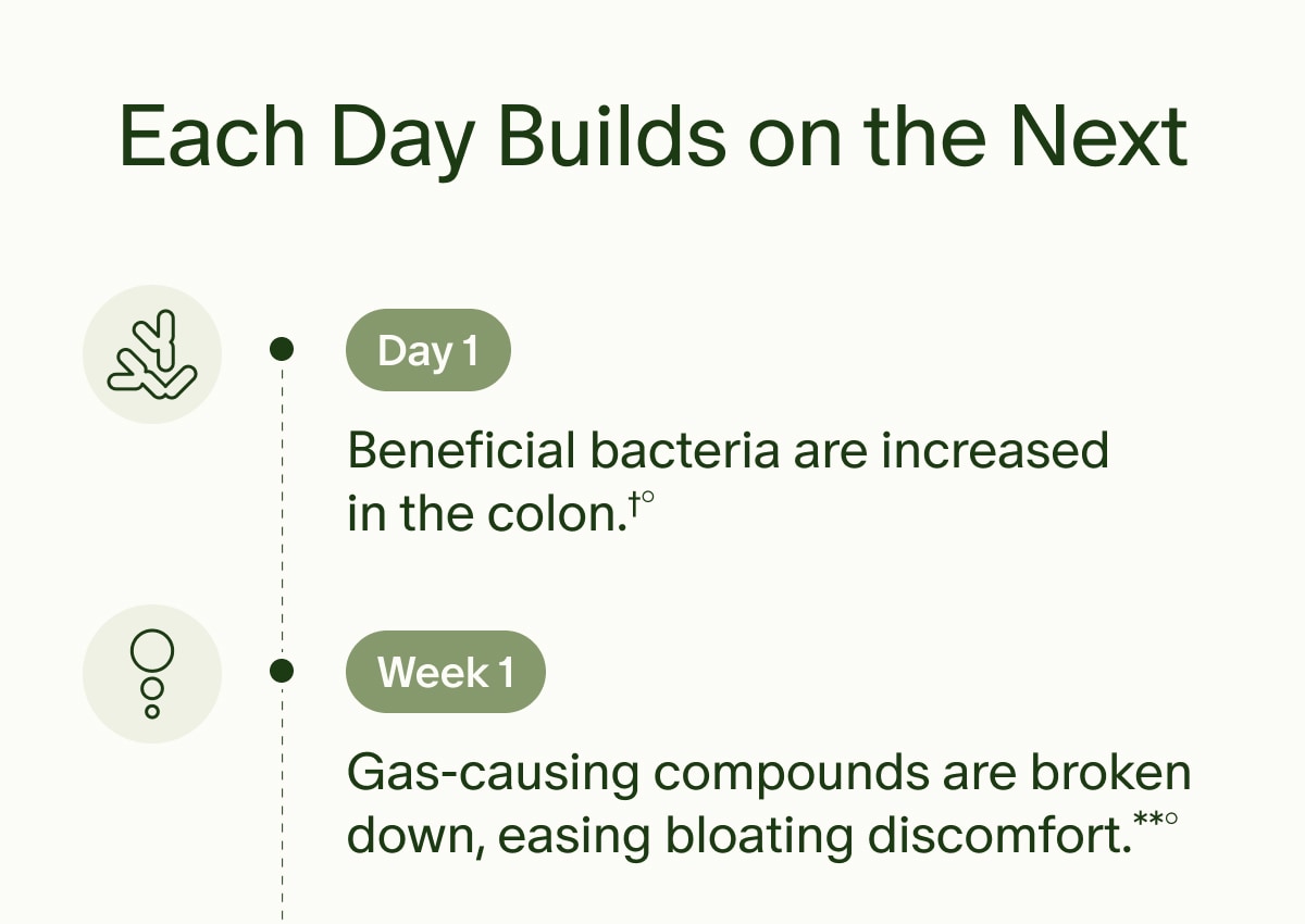 Each Day Builds on the Next | Day 1 | Beneficial bacteria are increased in the colon.&dagger;&deg; | Week 1 | Gas-causing compounds are broken down, easing bloating discomfort.**&deg;