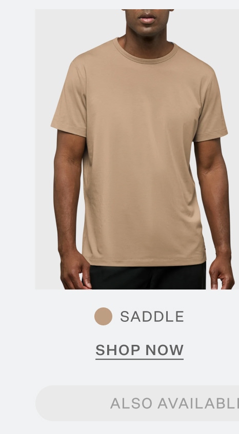 AO Forever Tee in Saddle