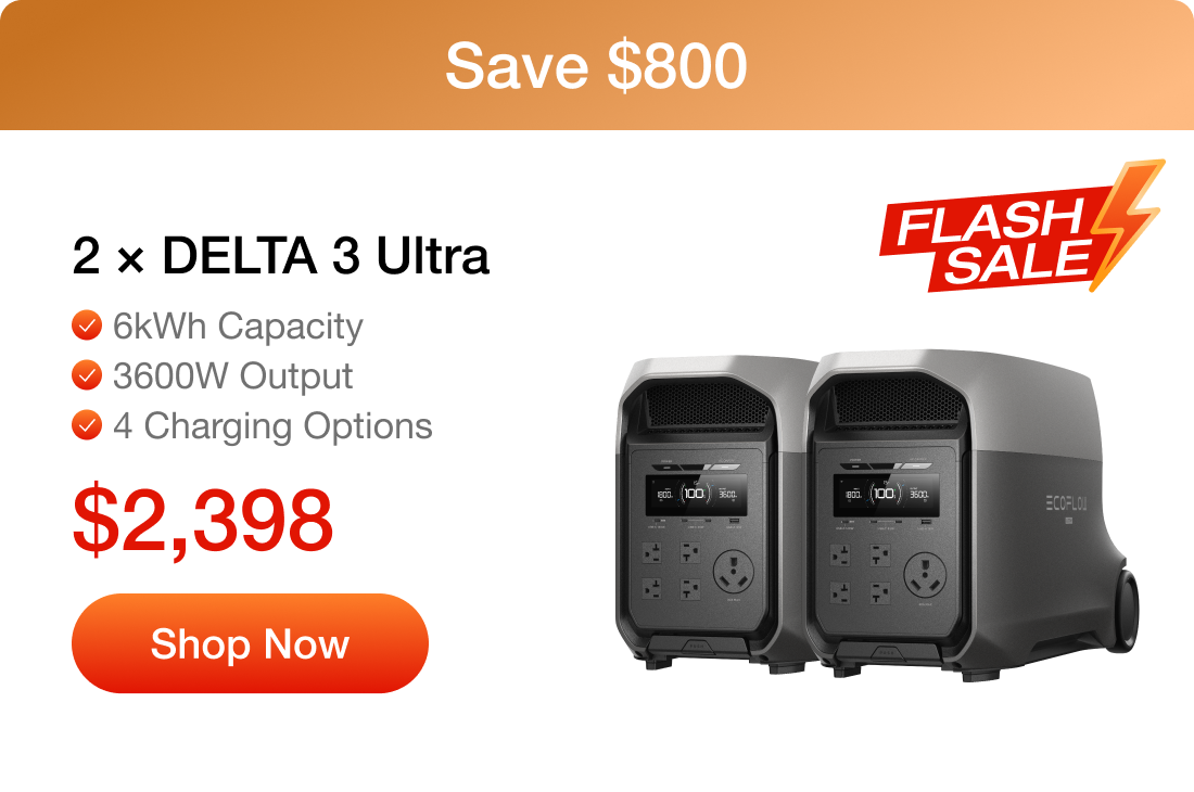 2 &times; DELTA 3 Ultra