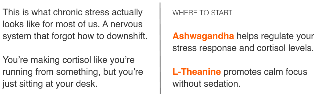 Ashwagandha and L-Theanine