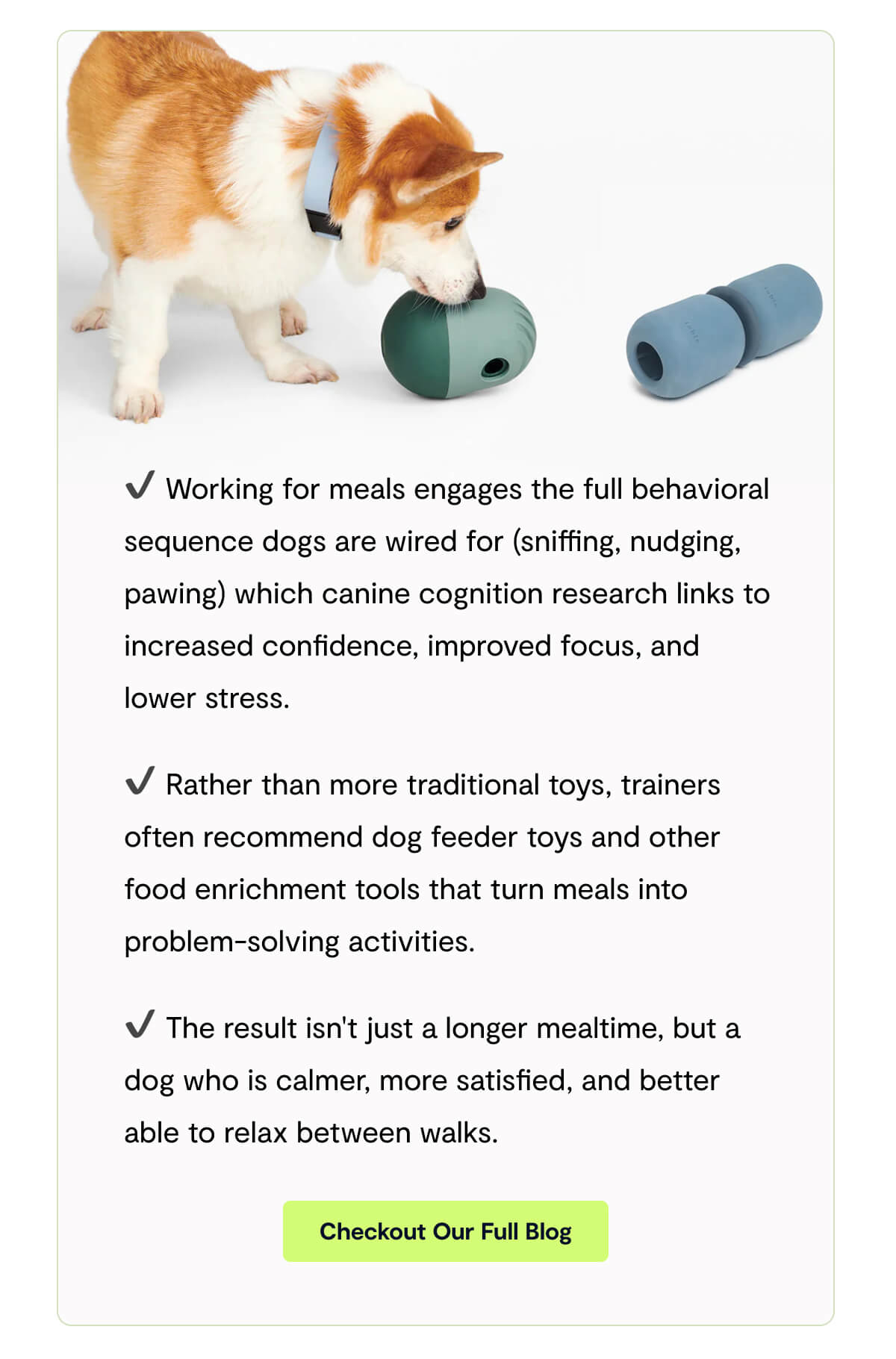 ✔️ Working for meals engages the full behavioral sequence dogs are wired for (sniffing, nudging, pawing) which canine cognition research links to increased confidence, improved focus, and lower stress. - ✔️ Rather than more traditional toys, trainers often recommend dog feeder toys and other food enrichment tools that turn meals into problem-solving activities. - ✔️ The result isn't just a longer mealtime, but a dog who is calmer, more satisfied, and better able to relax between walks. - Checkout Our Full Blog