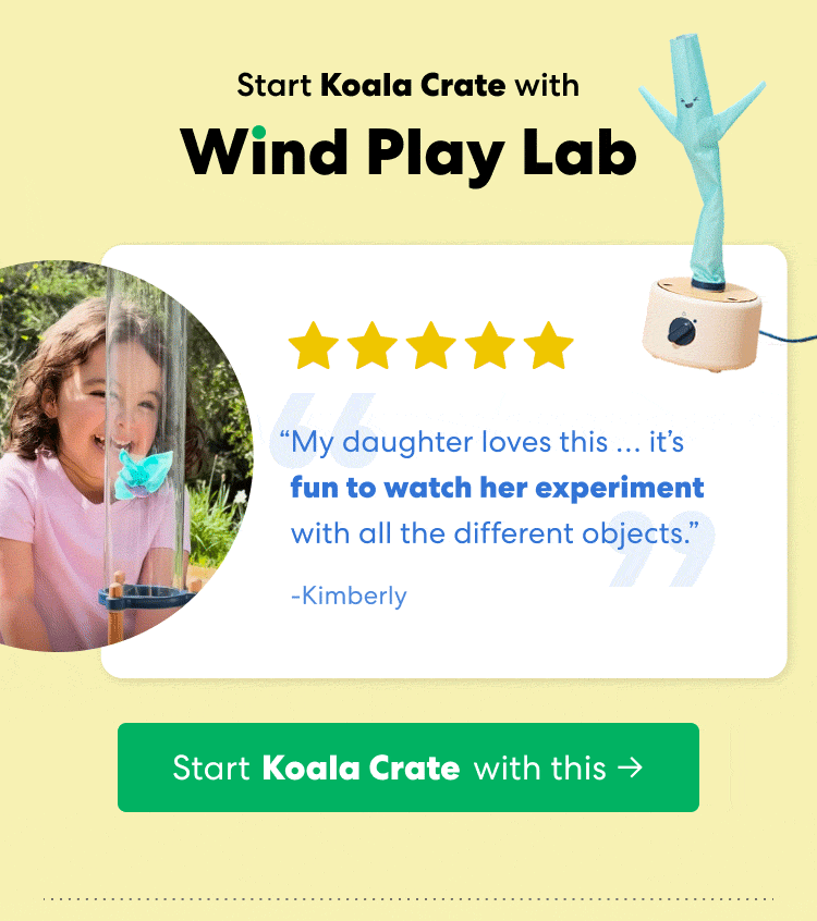 Start Koala Crate with Wind Play Lab. Rated 5 out of 5 stars. &ldquo;My daughter loves this &hellip; it&rsquo;s fun to watch her experiment with all the different objects.&rdquo; &mdash; Kimberly. A child experiments with objects moving inside the Wind Play Lab.