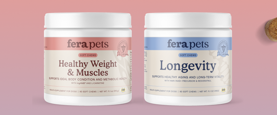 Longevity supports cellular energy and brain health, while Healthy Weight & Muscles supports lean muscle and healthy body composition.