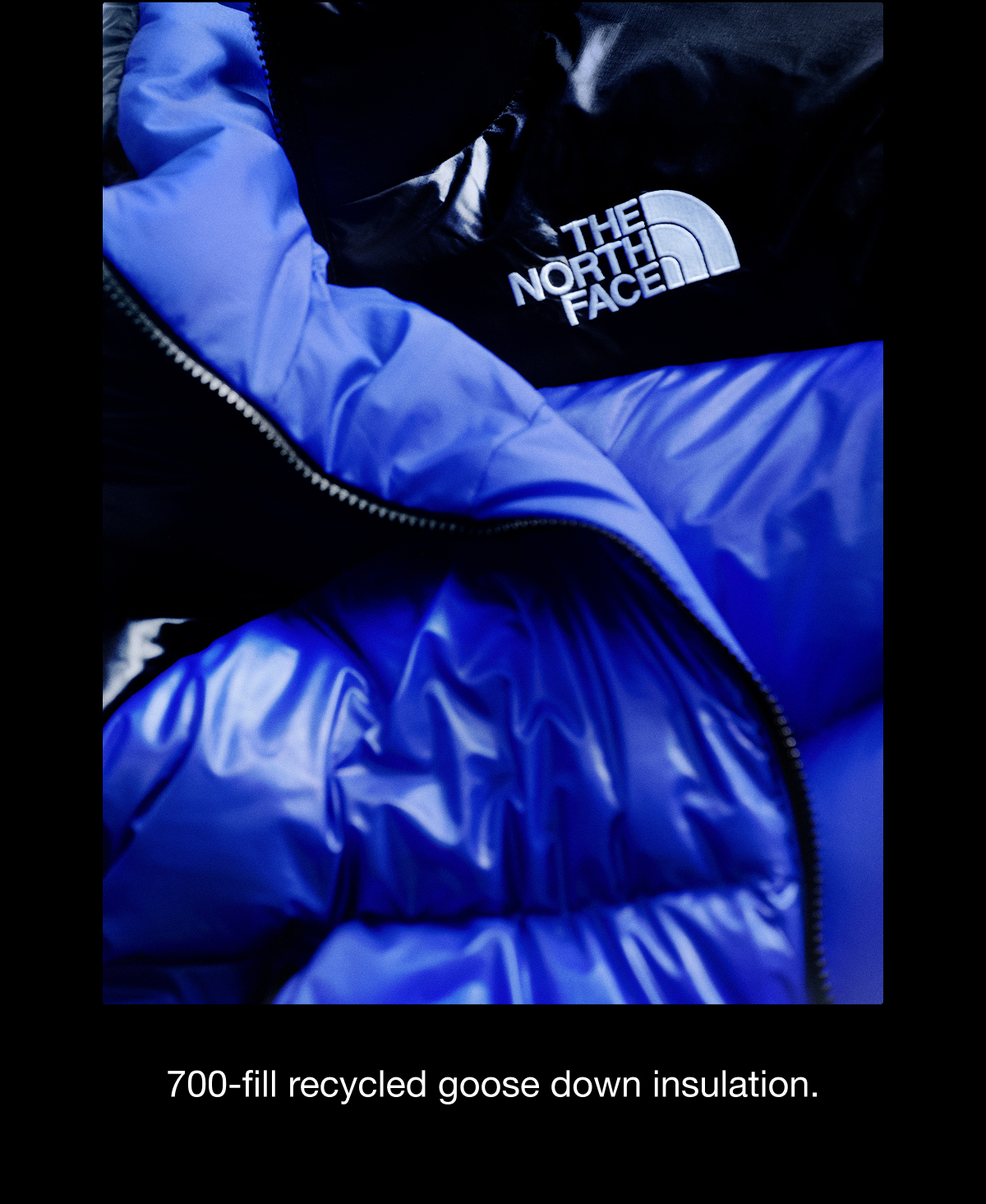 700-fill recycled goose down insulation. 