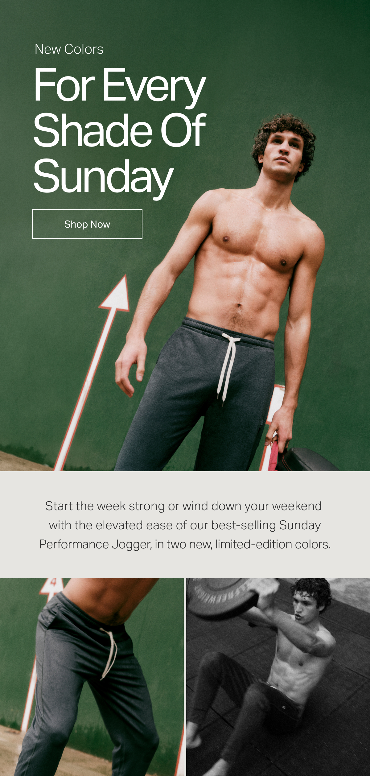 New Colors: For Every Shade Of Sunday - Shop Now