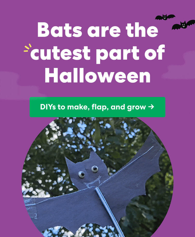 Bats are the cutest part of Halloween. DIYs to make, flap, and grow.