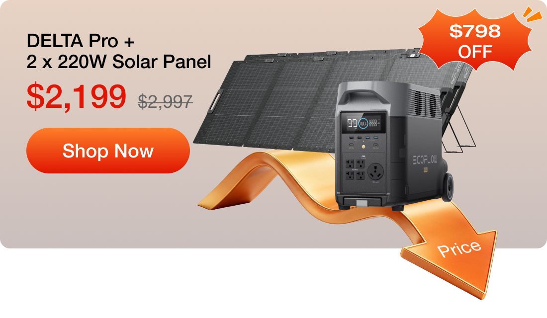 DELTA Pro + 2 x 220W Solar Panel