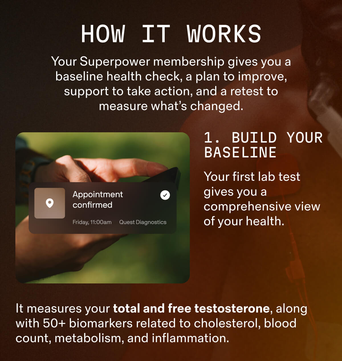 Step 1: Build your baseline with a lab test covering testosterone and 50+ biomarkers.