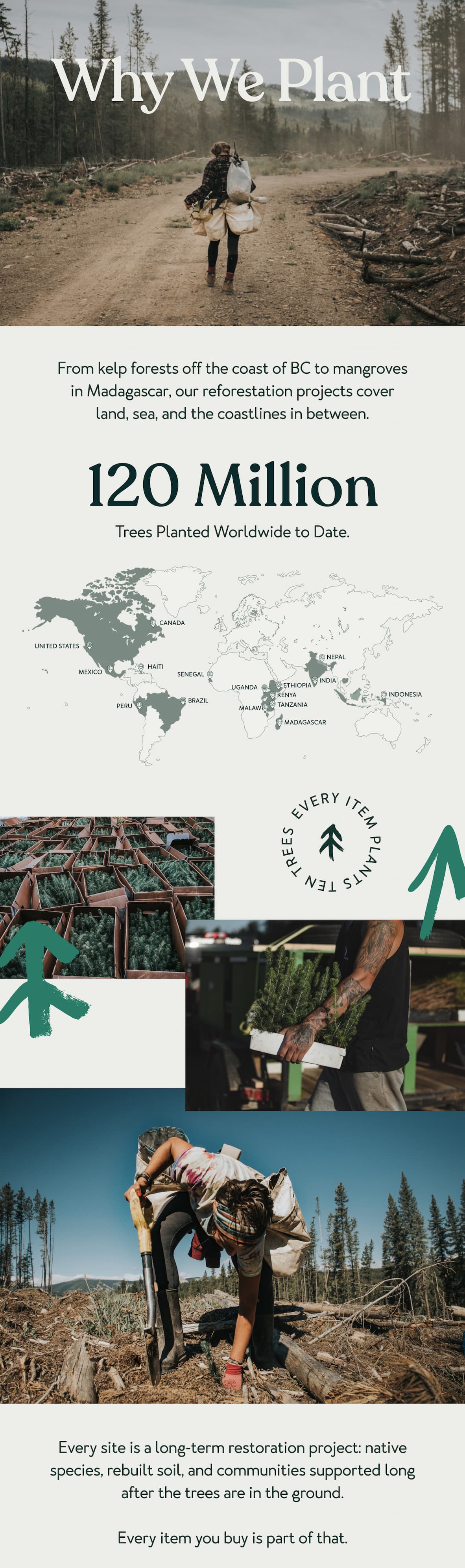 Why We Plant