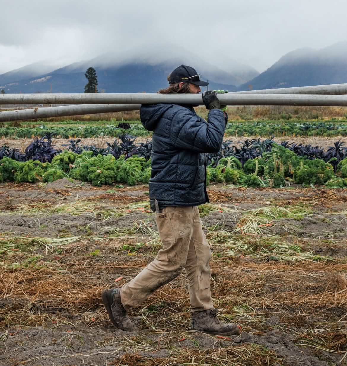 A person in a jacket, pants and work boots walks through a foggy agricultural field carrying heavy metal irrigation pipes on their shoulders.