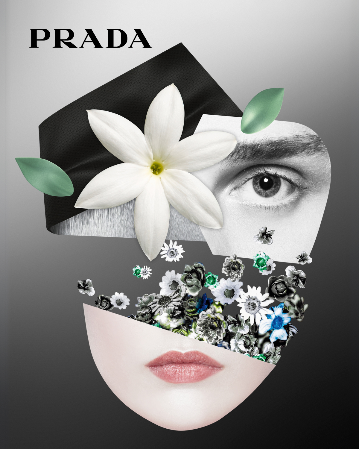 Prada hero