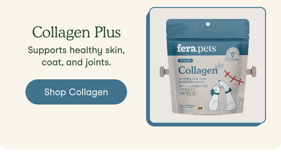Collagen Plus