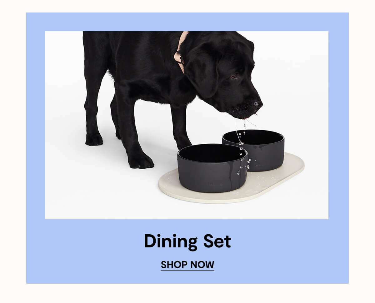 Dining Set. Shop Now