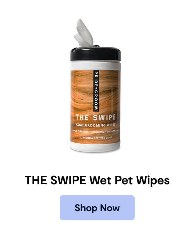 Pride + Groom - THE SWIPE Wet Pet Wipes