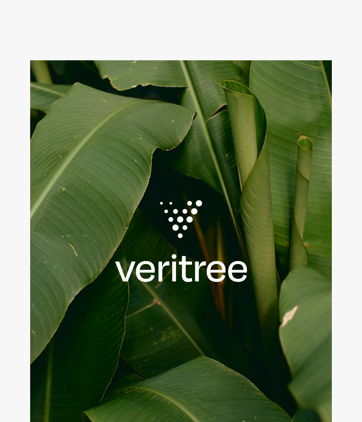 Veritree.