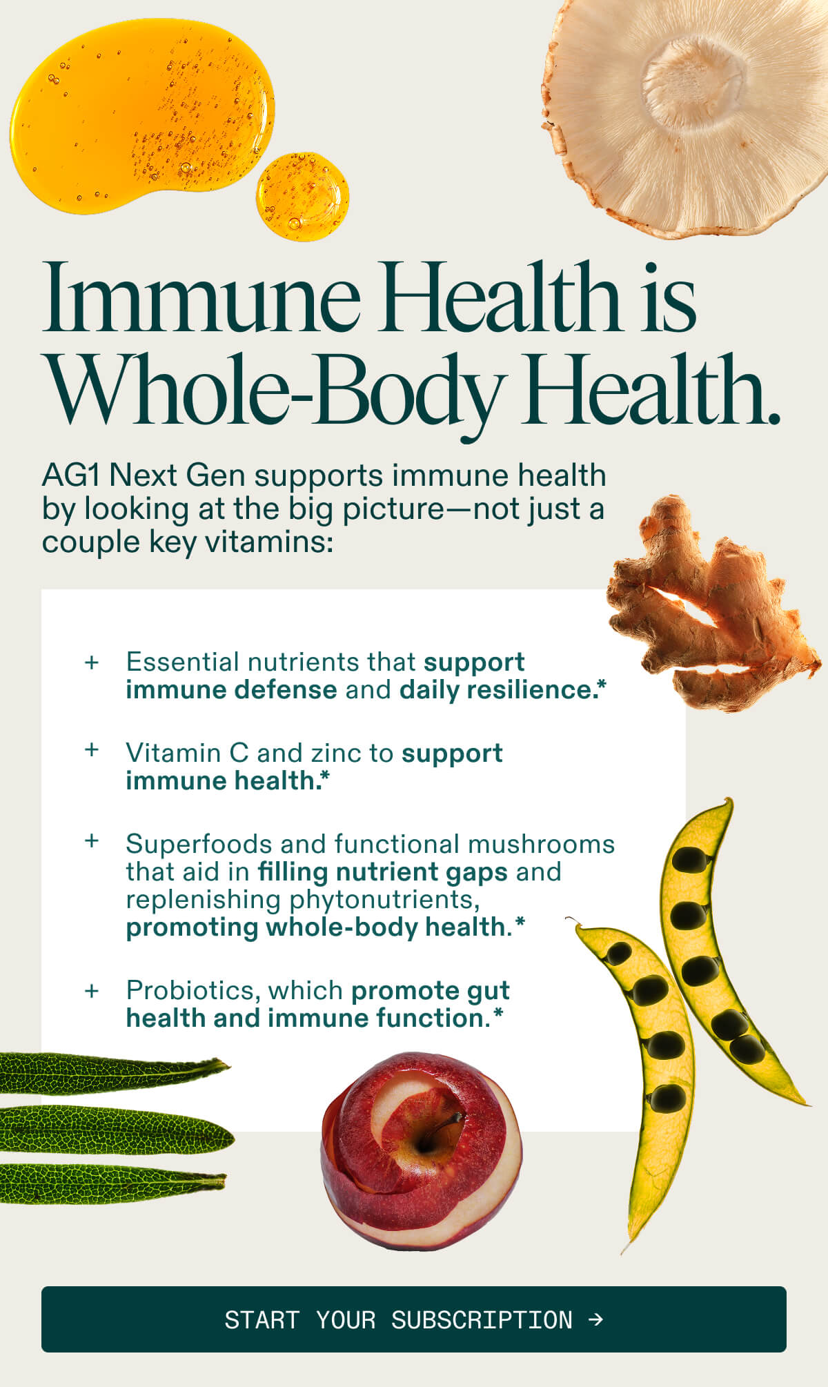 Immune Health is Whole-Body Health
