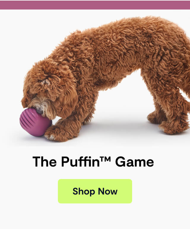 The Puffin&trade; Game&nbsp;. Shop Now