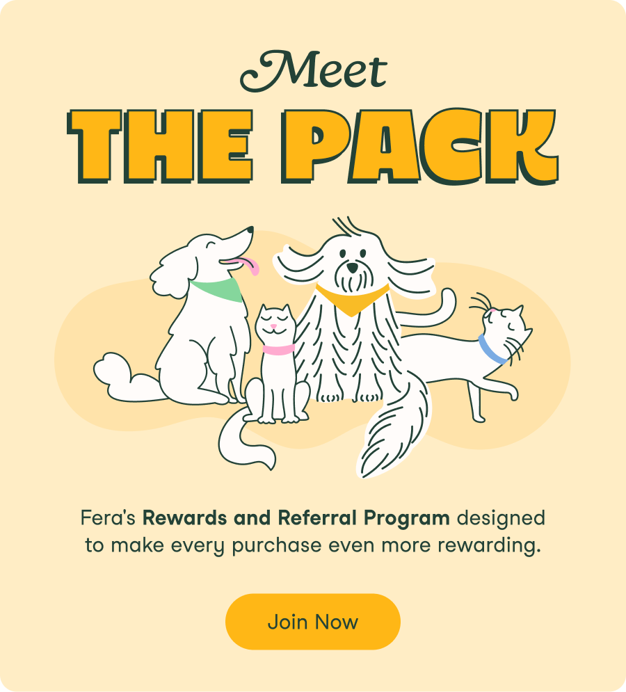 Meet The Pack