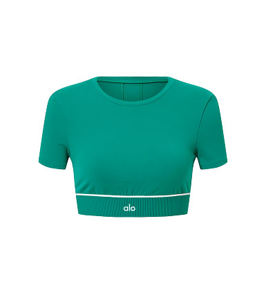 ALO Softsculpt Amp It Up Short Sleeve Bra
