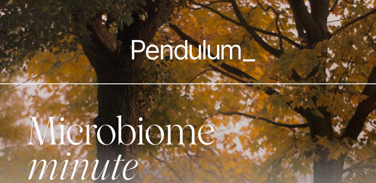 Pendulum