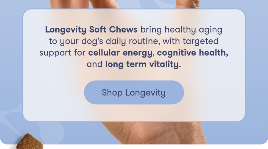 Shop Longevity